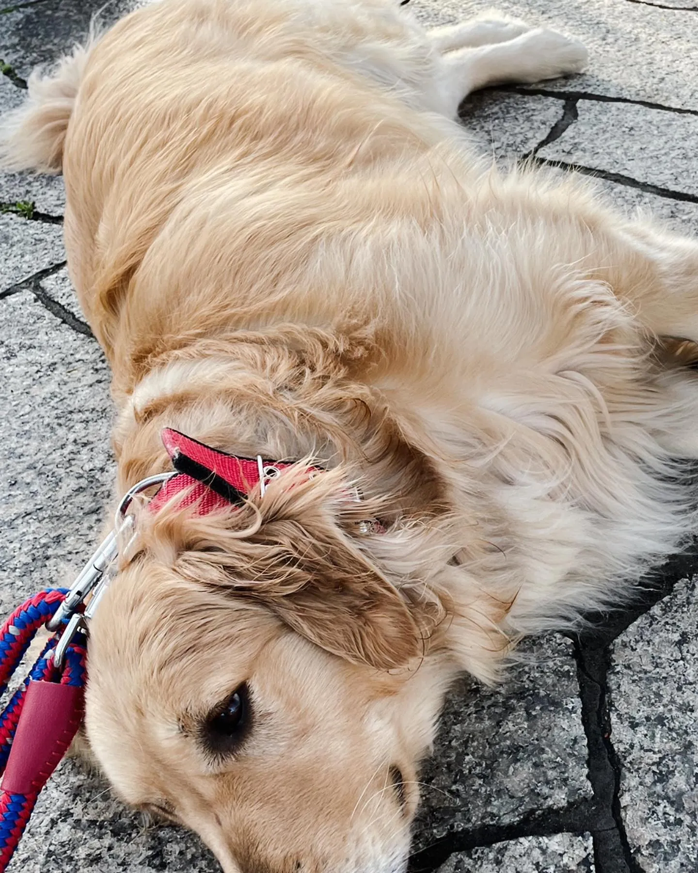 愛知県豊田市で水道工事、器具取り替えなどを行なってます。